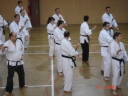 [dsc00684.jpeg]