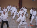 [dsc00691.jpeg]