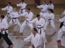 [dsc00708.jpeg]