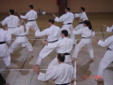 [dsc00709.jpeg]
